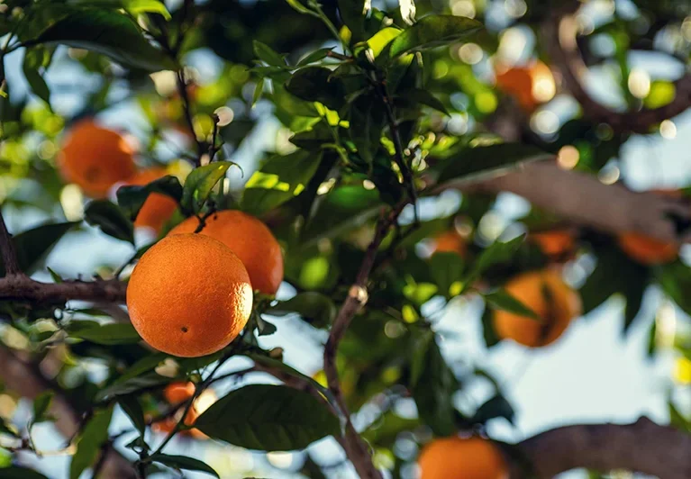 There are many variations of passages of Lorem Ipsum available, but majority have suffered teration in some form, by injected humour, or randomised words which don't look even slight believable. If you are going to use a passage of Lorem Ipsum.